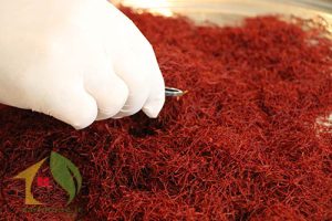 زعفران کیلویی امروز چنده